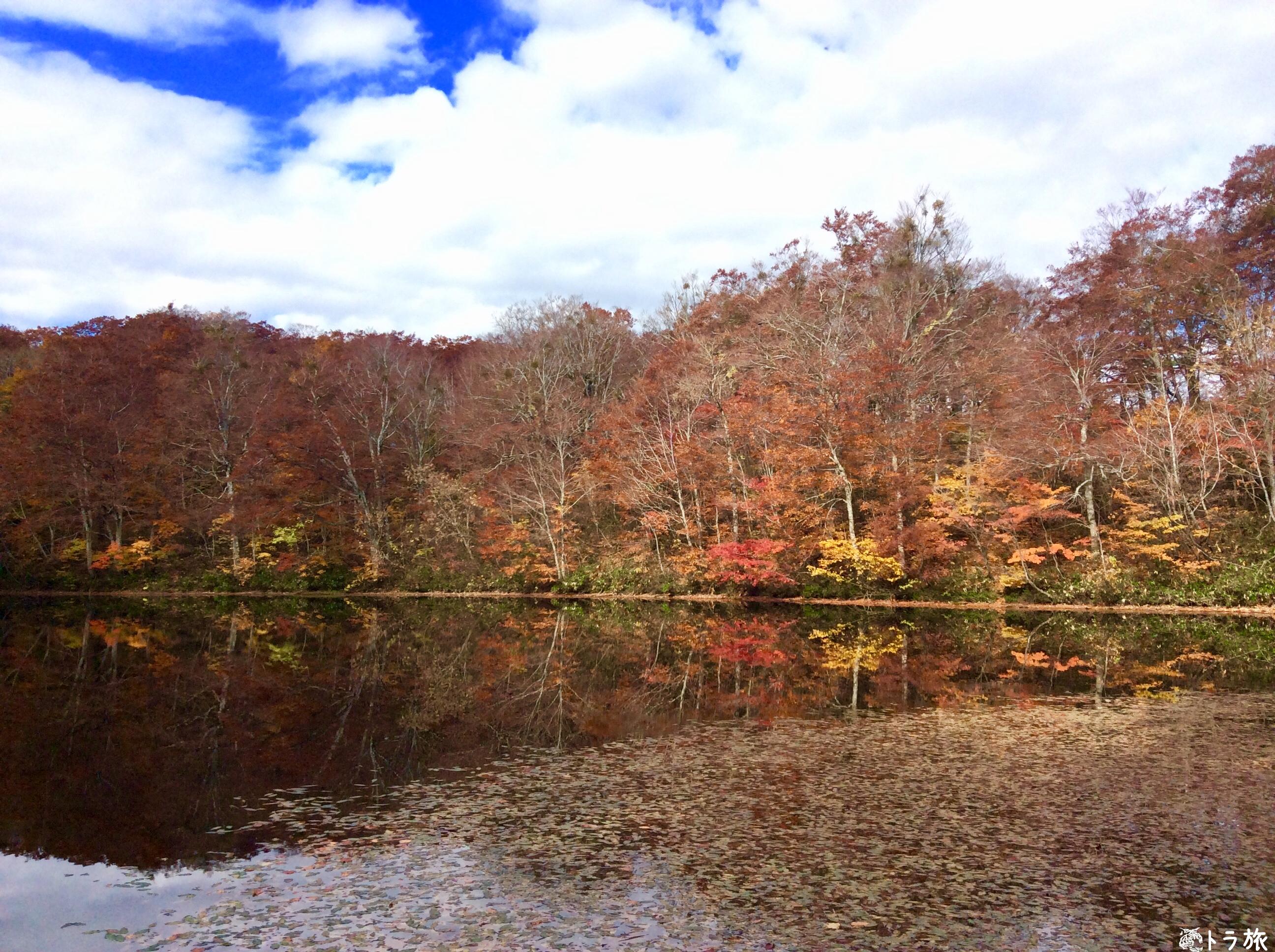 福井県の紅葉が綺麗な刈込池に行くときの注意点